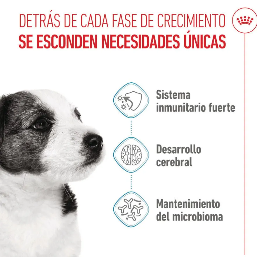 Royal Canin Mini Puppy ração para cachorros pequenos