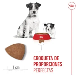 Royal Canin Mini Starter Mother&Baby ração para cães