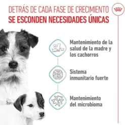 Royal Canin Mini Starter Mother&Baby ração para cães