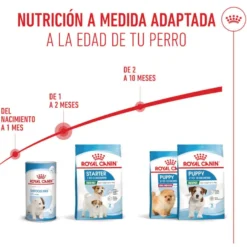 Royal Canin Mini Starter Mother&Baby ração para cães