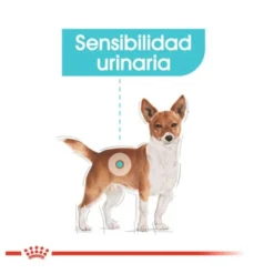 Royal Canin Mini Urinary Care ração para cães
