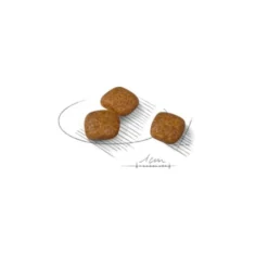 Royal Canin Mini Urinary Care ração para cães