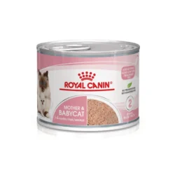 Royal Canin Mother Baby mousse latas para gatos