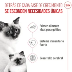 Royal Canin Mother Baby mousse latas para gatos