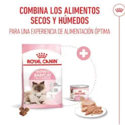 Royal Canin Mother Baby mousse latas para gatos