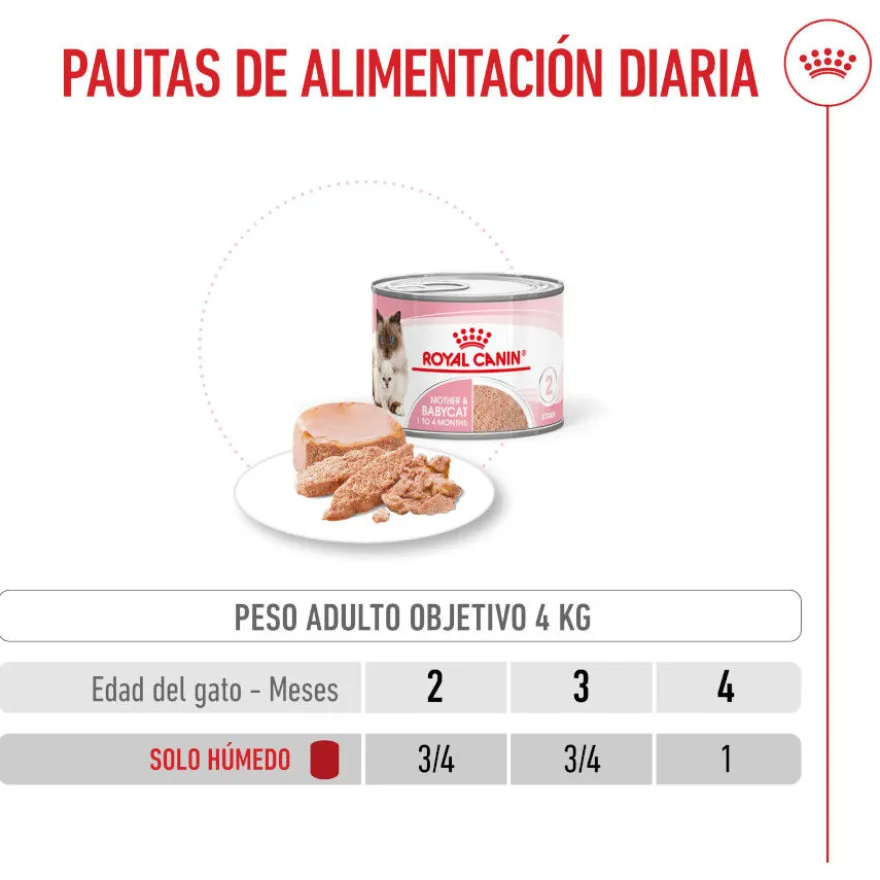 Royal Canin Mother Baby mousse latas para gatos