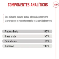 Royal Canin Mother Baby mousse latas para gatos