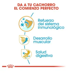 Royal Canin Puppy Boxer ração para cães