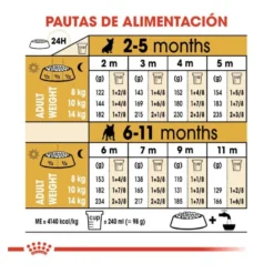 Royal Canin Puppy Bulldog Francês ração para cães
