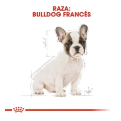 Royal Canin Puppy Bulldog Francês ração para cães