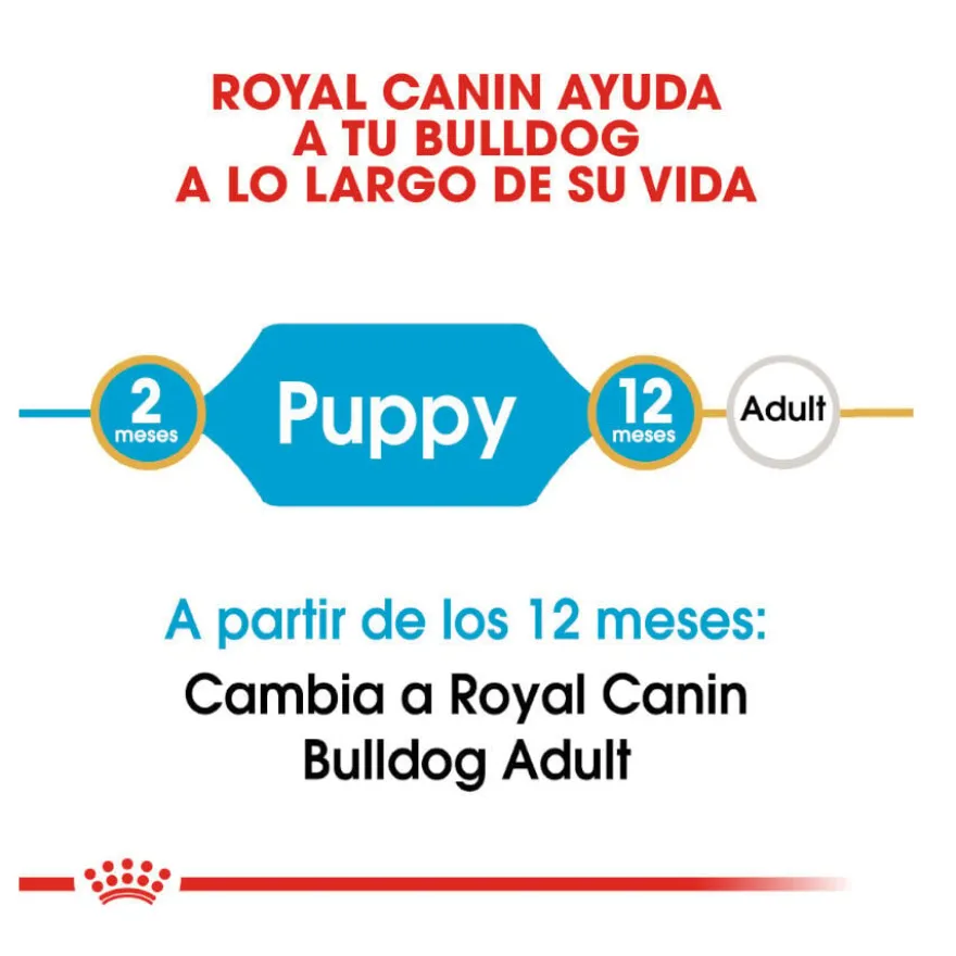 Royal Canin Puppy Bulldog ração para cães