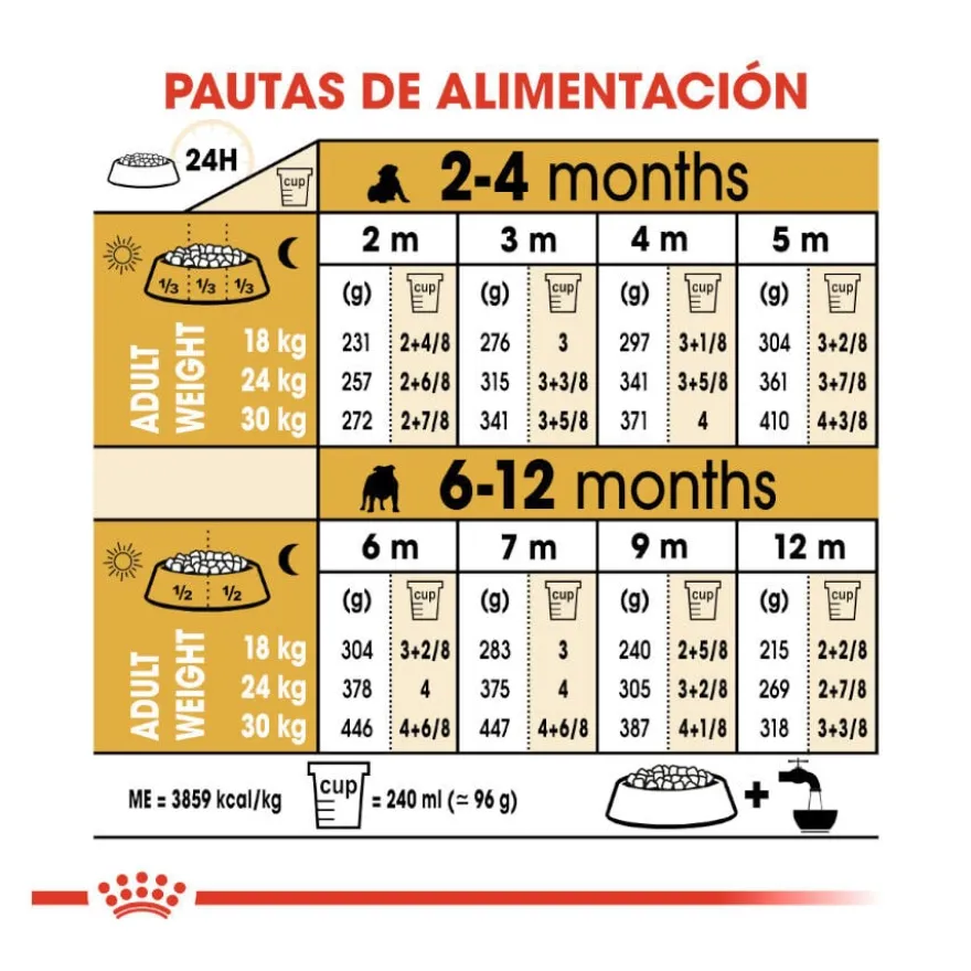 Royal Canin Puppy Bulldog ração para cães