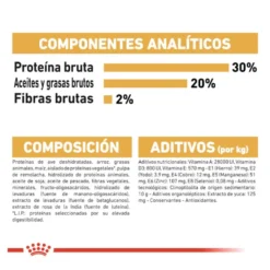 Royal Canin Puppy Chihuahua ração para cães