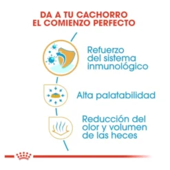 Royal Canin Puppy Chihuahua ração para cães