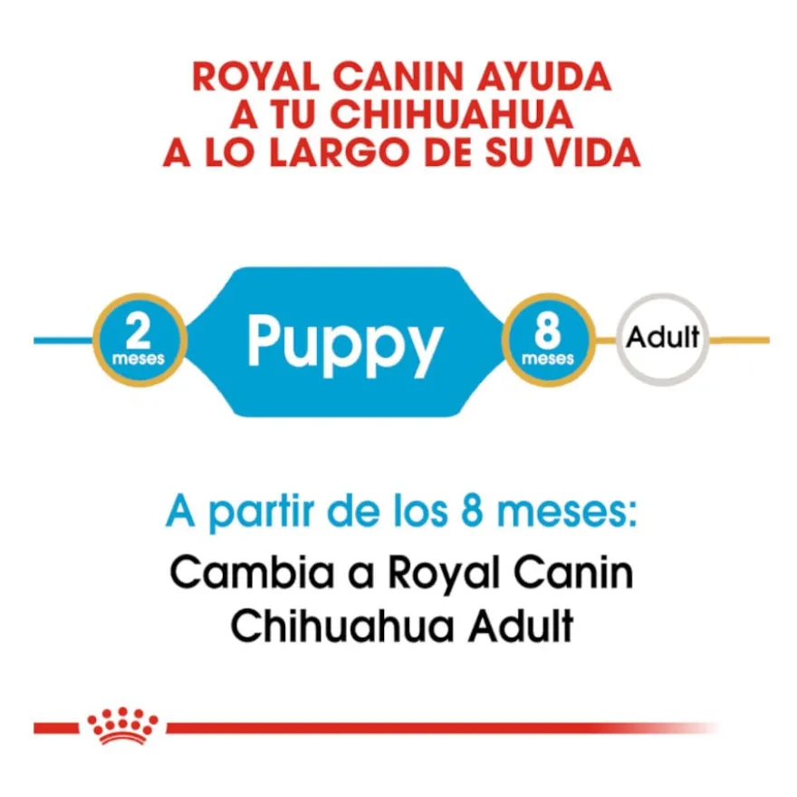 Royal Canin Puppy Chihuahua ração para cães