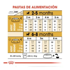 Royal Canin Puppy Chihuahua ração para cães