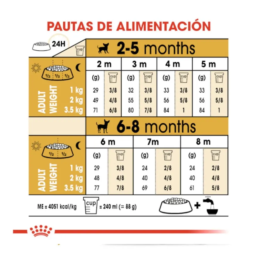 Royal Canin Puppy Chihuahua ração para cães