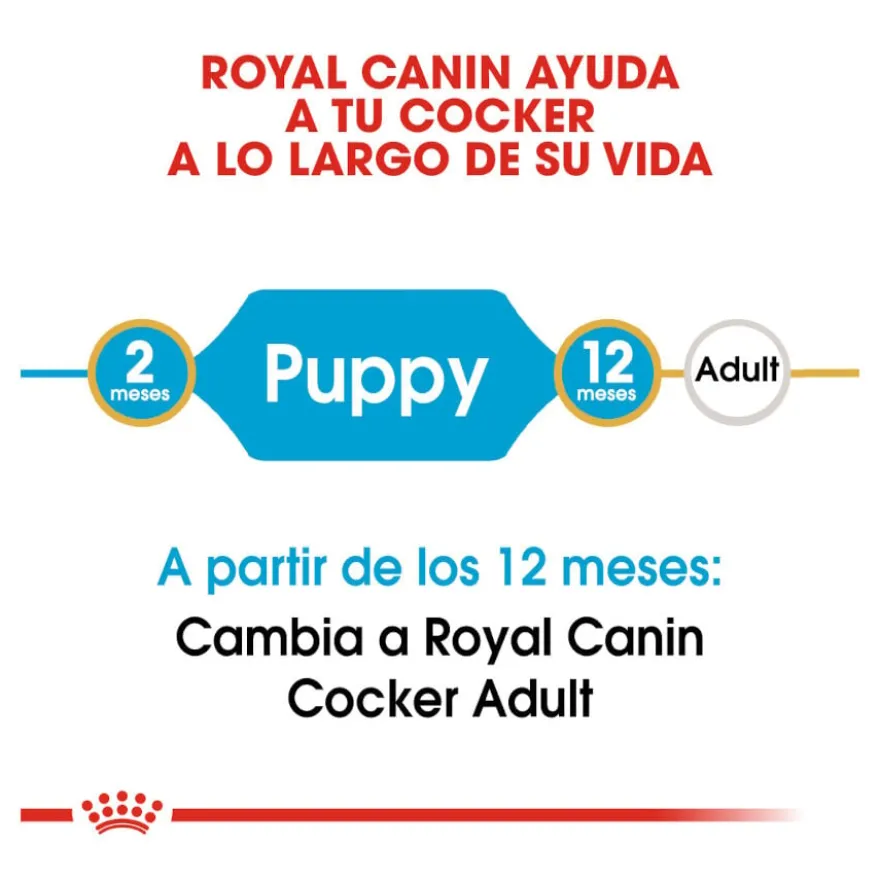 Royal Canin Puppy Cocker ração para cães