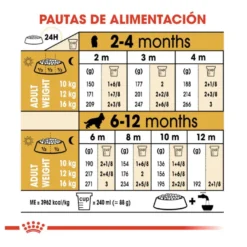 Royal Canin Puppy Cocker ração para cães