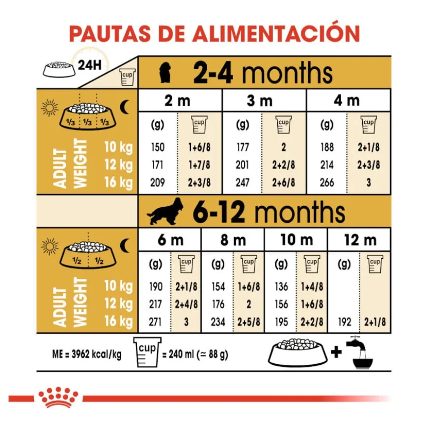 Royal Canin Puppy Cocker ração para cães
