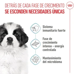 Royal Canin Puppy Giant ração para cães