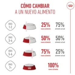 Royal Canin Puppy Giant ração para cães
