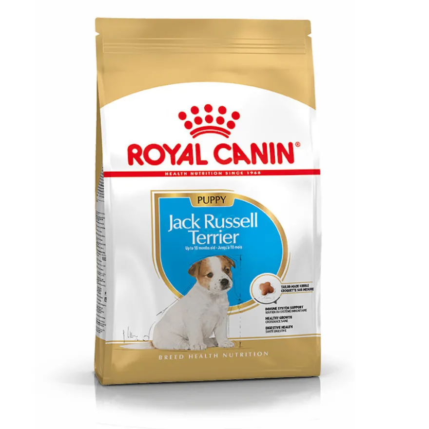 Royal Canin Puppy Jack Russell Terrier ração para cães