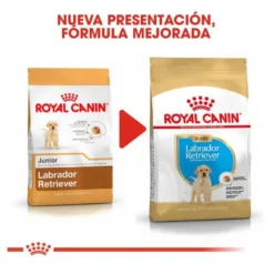 Royal Canin Puppy Labrador Retriever ração para cães