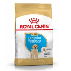 Royal Canin Puppy Labrador Retriever ração para cães