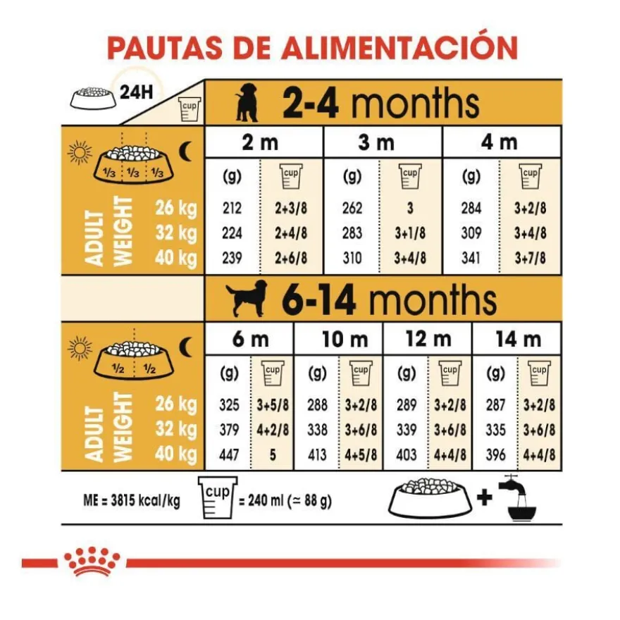 Royal Canin Puppy Labrador Retriever ração para cães