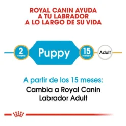 Royal Canin Puppy Labrador Retriever ração para cães