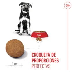 Royal Canin Puppy Maxi ração para cães