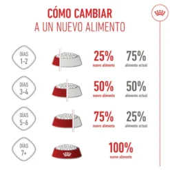Royal Canin Puppy Maxi ração para cães