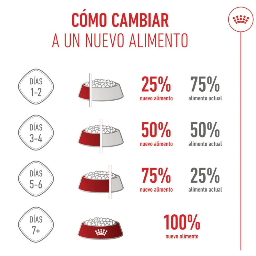 Royal Canin Puppy Maxi ração para cães
