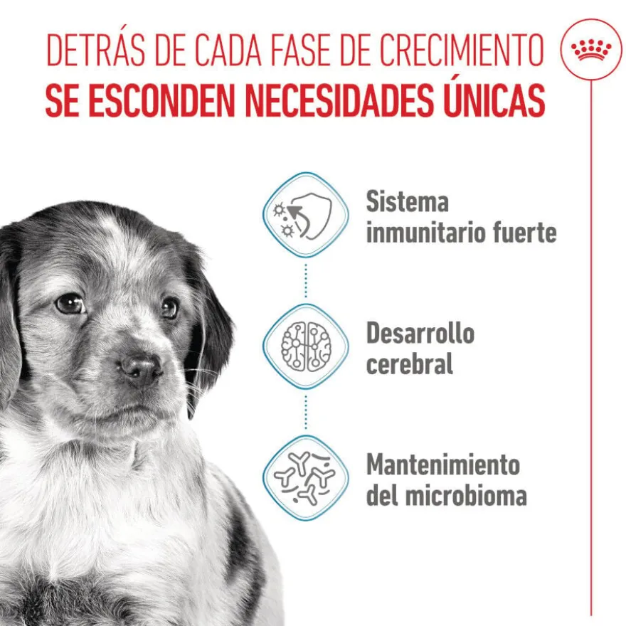 Royal Canin Puppy Medium ração para cães médios