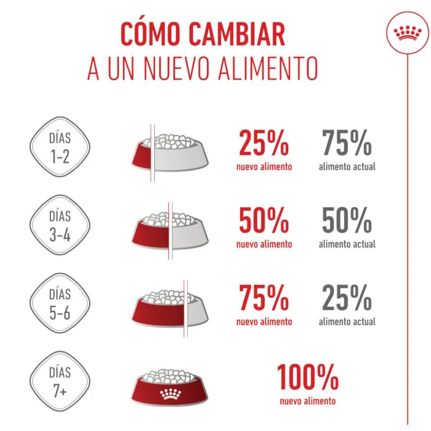 Royal Canin Puppy Medium ração para cães médios