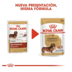 Royal Canin Saquetas de Patê para Teckel