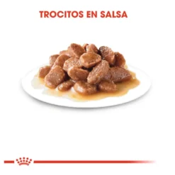 Royal Canin Senior 7+ Instinctive saquetas para gatos