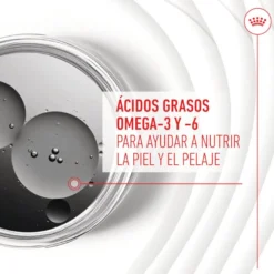 Royal Canin Skin & Coat Chews Suplemento Nutricional Adulto para Cães