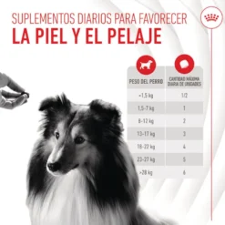 Royal Canin Skin & Coat Chews Suplemento Nutricional Adulto para Cães