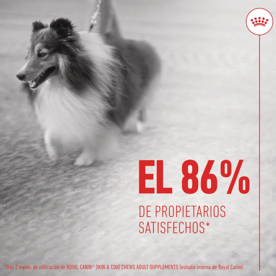 Royal Canin Skin & Coat Chews Suplemento Nutricional Adulto para Cães
