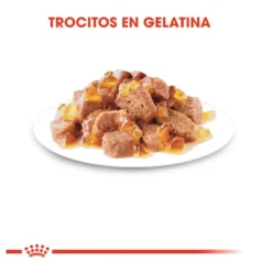 Royal Canin Sterilised Saquetas em gelatina para gatos