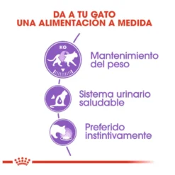 Royal Canin Sterilised Saquetas em gelatina para gatos