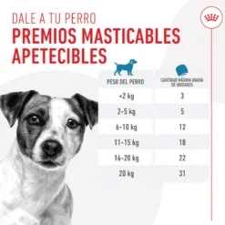 Royal Canin Training snacks para cães