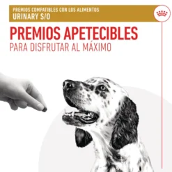 Royal Canin Treats Urinary Snacks para cães
