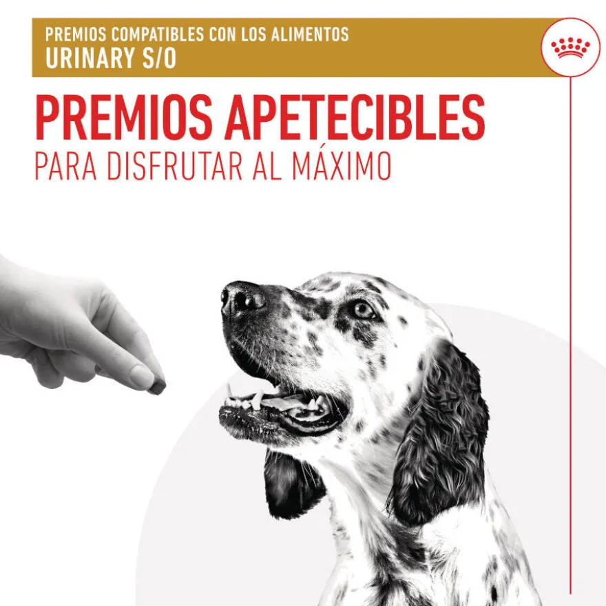 Royal Canin Treats Urinary Snacks para cães