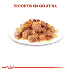 Royal Canin Ultra Light geleia saqueta para gatos