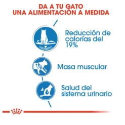 Royal Canin Ultra Light geleia saqueta para gatos
