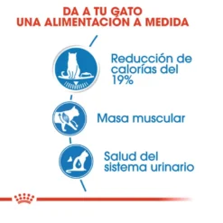 Royal Canin Ultra Light saquetas para gatos