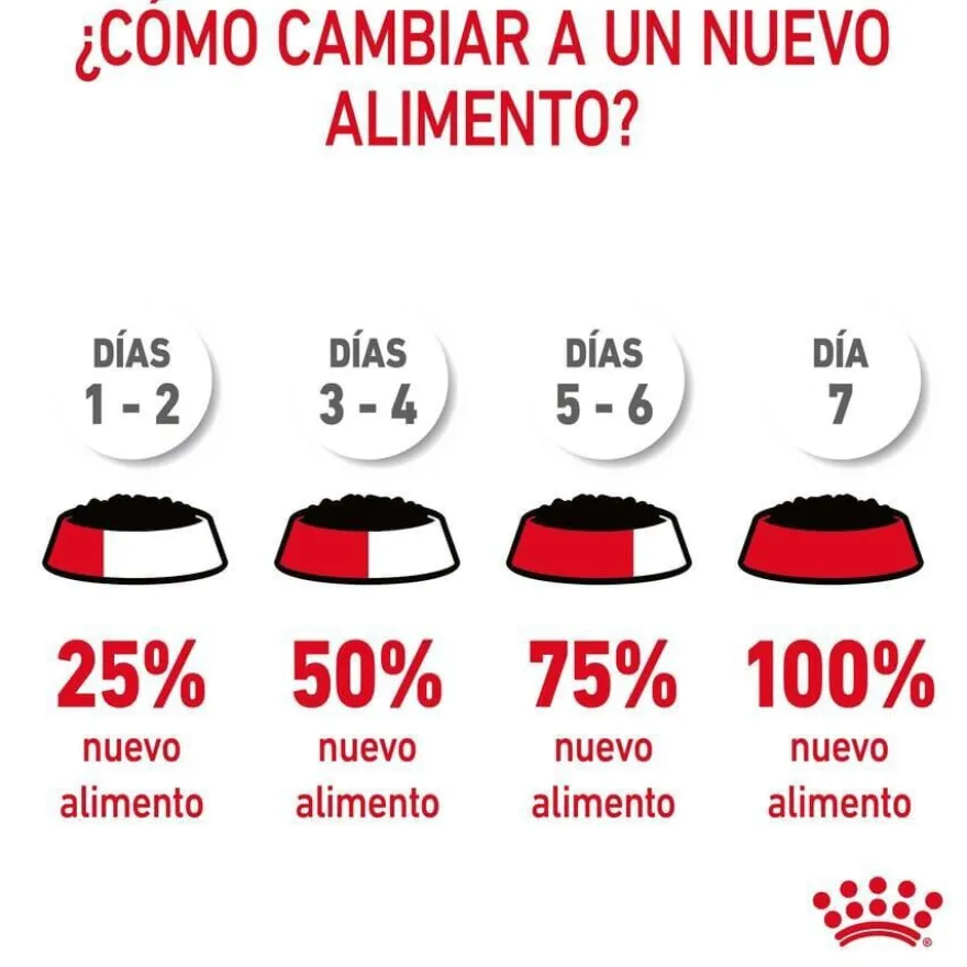 Royal Canin Urinary Care Adult Saqueta em molho para gatos